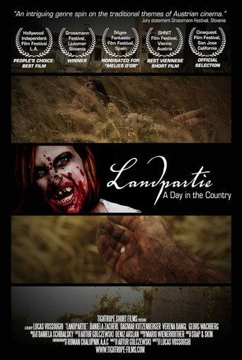 Movie poster for A Day In The Country (2010)