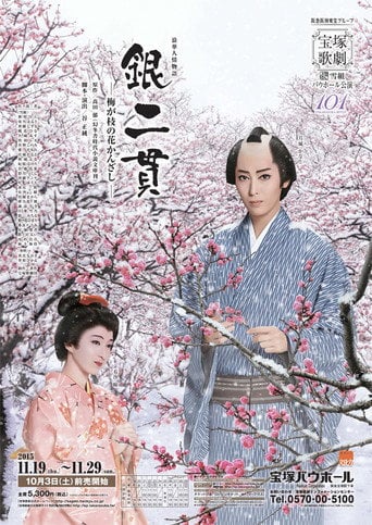Movie poster for Two Pieces of Silver: The Plum-Branch Hair Pin (2015)