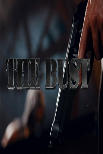 Movie poster for The Bust (2017)