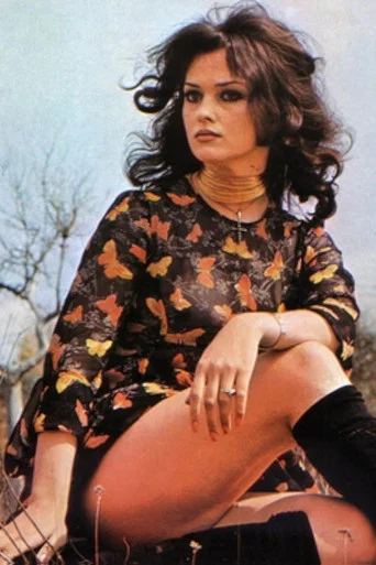 Movie poster for Isola meccanica (1978)