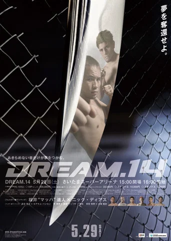 Movie poster for DREAM 14 (2010)
