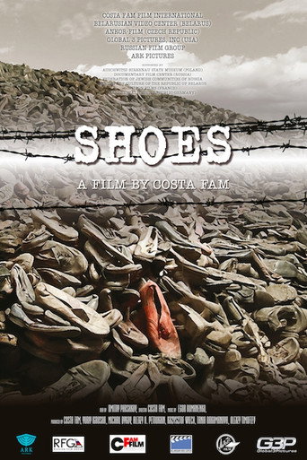 Movie poster for Shoes (2013)