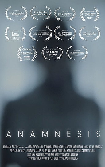 Movie poster for Anamnesis (2016)
