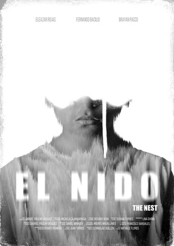 Movie poster for The Nest (2020)