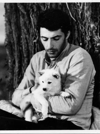 იმედის მწვანე კუნძული poster