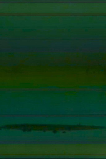 Movie poster for weak signal (2024)
