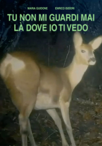 Movie poster for TU NON GUARDI MAI LÀ DOVE IO TI VEDO (2025)