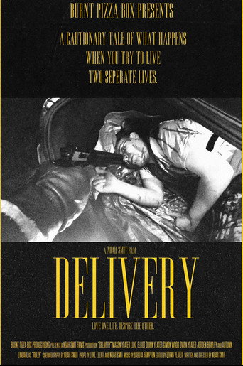 Movie poster for Delivery (2025)
