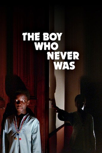 The Boy Who Never Was poster