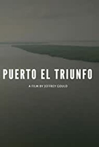 Movie poster for Port Triumph (2017)