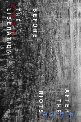 Movie poster for After the Riots, Before the Liberation (2020)