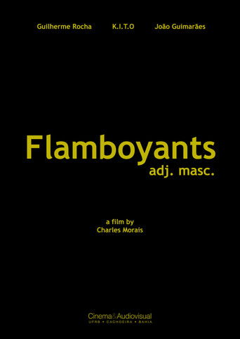 Flamboyants poster