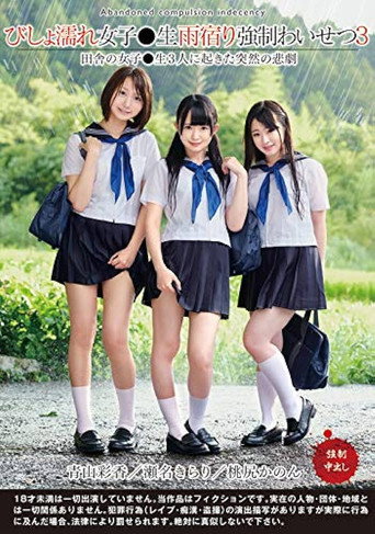 Movie poster for Dripping Wet Girls Are Taking Shelter From The Rain And Receiving Sexual Harassment 3 (2018)