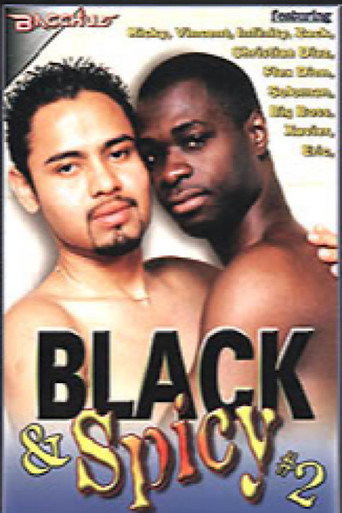 Movie poster for Black & Spicy 2 (2004)