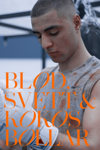 Movie poster for Blod, svett och kokosbollar (2024)