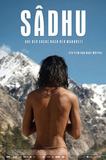 Movie poster for Sâdhu - Seeker of Truth (2013)