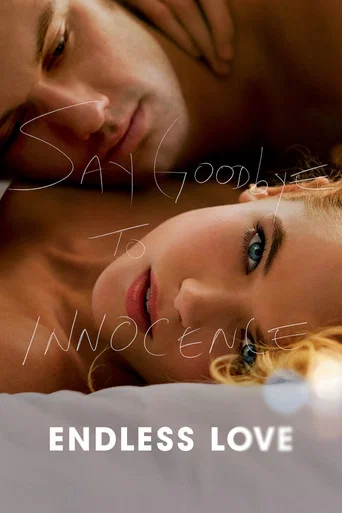 Movie poster for Endless Love (2014)