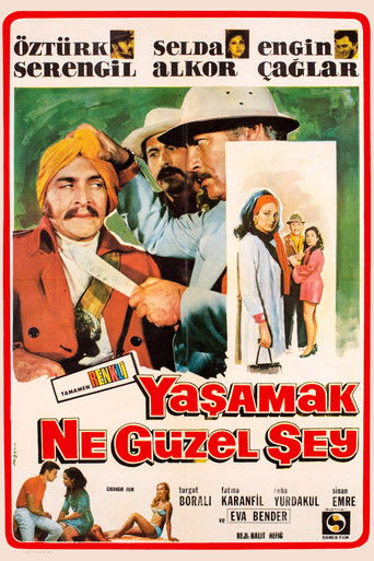 Yaşamak Ne Güzel Şey poster