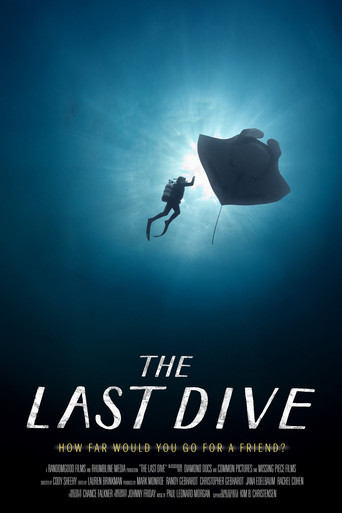 The Last Dive poster
