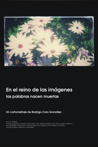 Movie poster for En el reino de las imágenes, las palabras nacen muertas (2019)