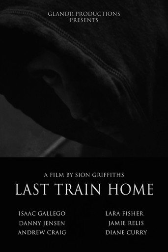 Movie poster for Last Train Home (2008)