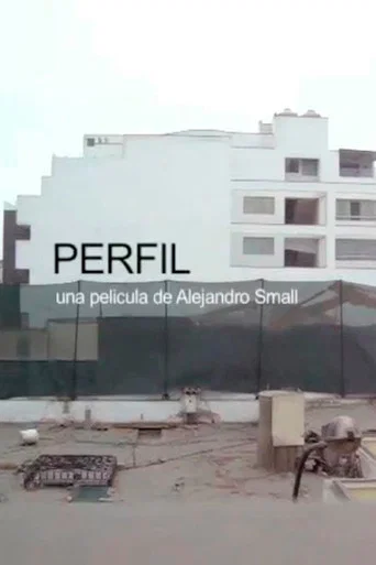 Movie poster for Perfil (2014)