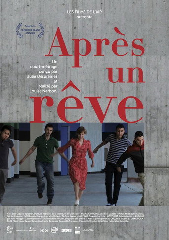 Movie poster for After a Dream (2013)