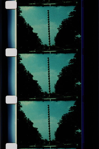 Movie poster for Brancusi's Sculpture Garden at Tirgu Jiu (1984)