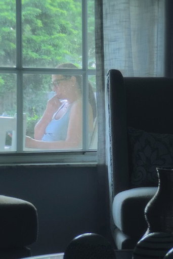 Movie poster for Searching for Ana Veldford (2021)