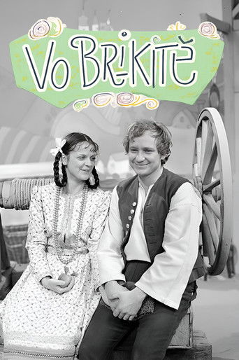 Vo Brikitě poster