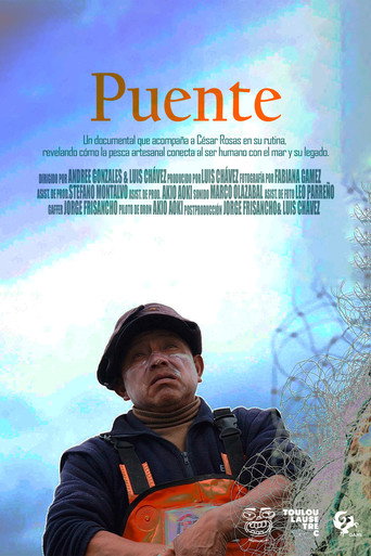 Movie poster for Bridge (2026)