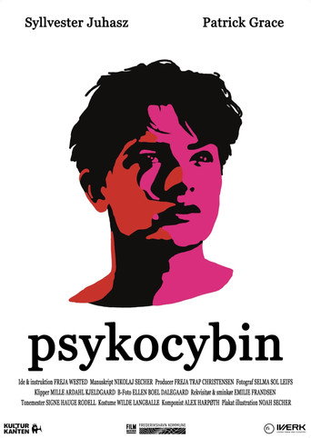 Movie poster for Psykocybin (2024)