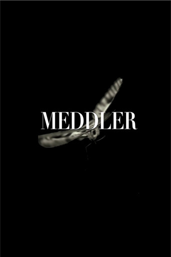 Movie poster for Meddler (2011)