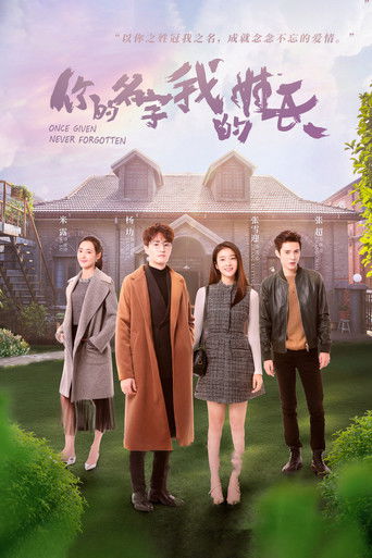 Once Given, Never Forgotten poster