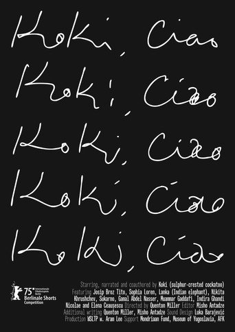 Movie poster for Koki, Ciao (2025)