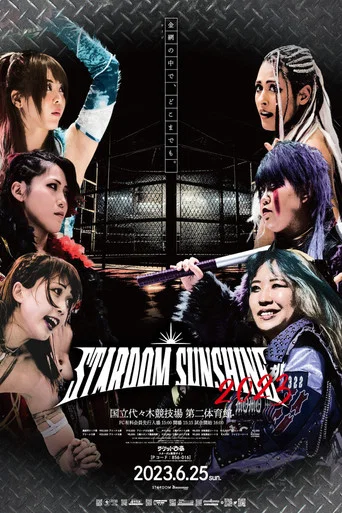 Movie poster for Stardom Sunshine 2023 (2023)