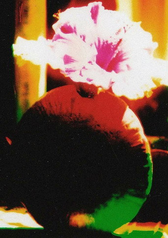 Movie poster for The Room of Chromatic Mystery (2006)