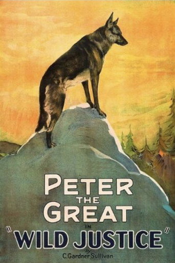 Movie poster for Wild Justice (1925)