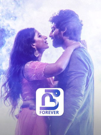 Nee Forever poster