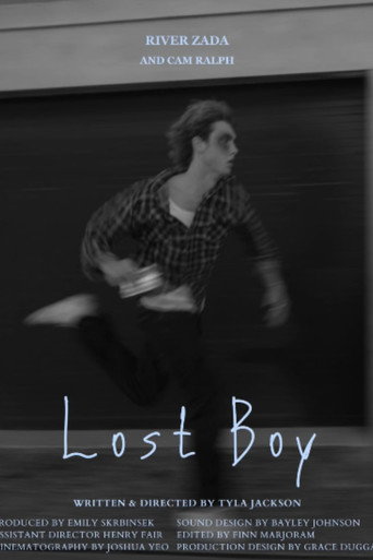 Movie poster for Lost Boy (2026)