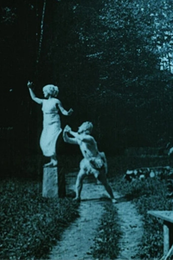 Movie poster for Adventure In The Park (1910)