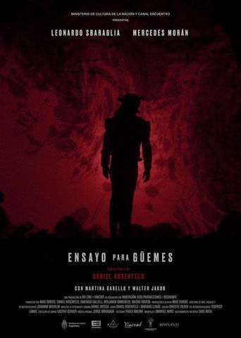 Ensayo para Güemes poster