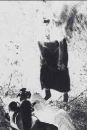 XCXHXEXRXRXIXEXSX poster