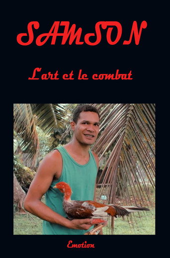 Movie poster for Samson art and combat (2017)