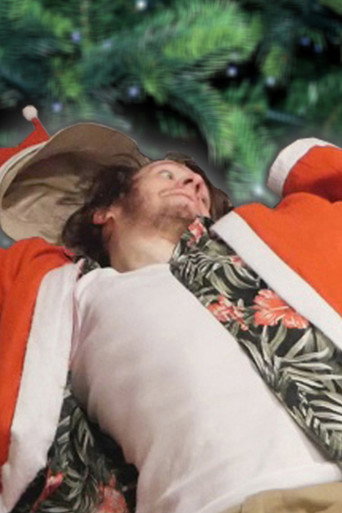 Movie poster for Dirtbag and the Christmas Disarray (2018)