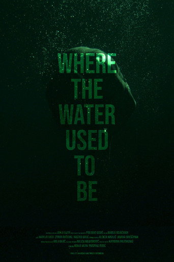 Movie poster for Where the Water Used to Be (2026)