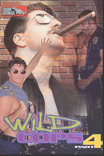 Movie poster for Wild Cops 4 (2001)