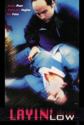 Movie poster for Layin' Low (1996)