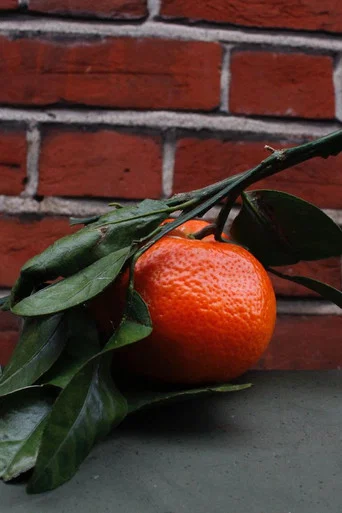 Movie poster for Orange Peel (2026)
