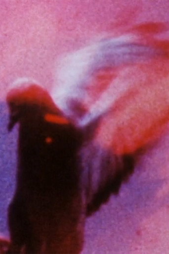 Movie poster for Long Eyes of the Earth (1991)